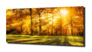 obraz panel szklany Jesień 2 