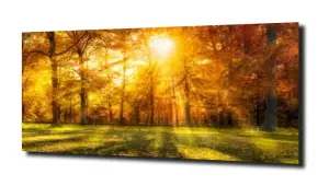 obraz panel szklany Jesień 3 