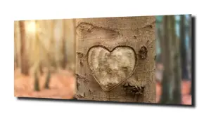 obraz na szkle Drzewa 84 