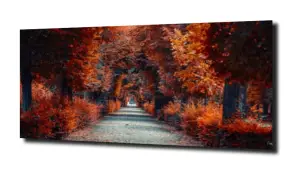 obraz na szkle Jesień 10 