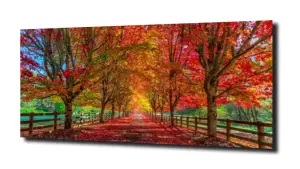 obraz na szkle Jesień 11 