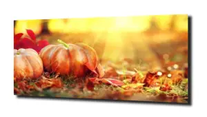 obraz na szkle Jesień 12 