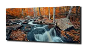 obraz na szkle Jesień 21 