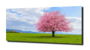 obraz na szkle Drzewo 86 