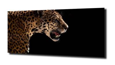 obraz na szkle Jaguar 11 