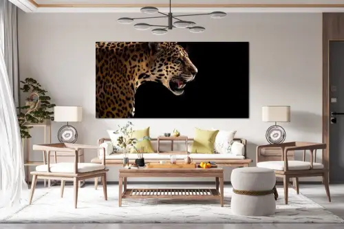 698b2bc506b0b2872547577fe5ffc52a