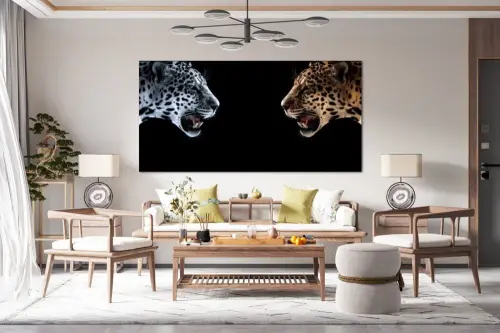 dfa0bb8bfd9fd38f21fc2e3d54ff59ff