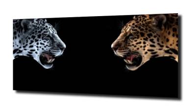 obraz na szkle Jaguar 15 
