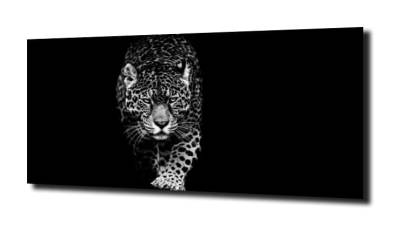 obraz na szkle Jaguar 16 