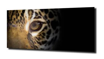 obraz na szkle Jaguar 18 