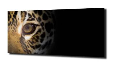 obraz na szkle Jaguar 20 