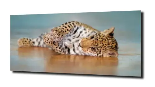 dbd3212f751ba3100c1c2b82788ae38f