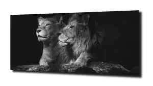 obraz na szkle Para lwów 