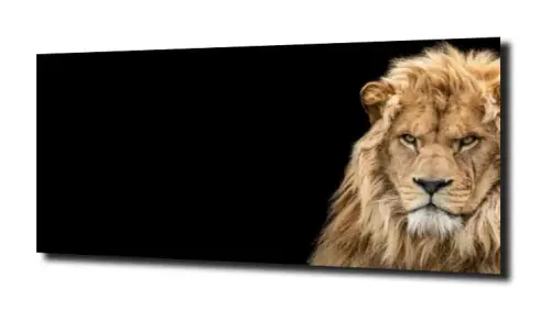 40b73226e196a01f948bed2bdb053244