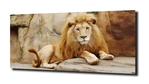 c8c2480534d8db911f65c97f8153a9d3