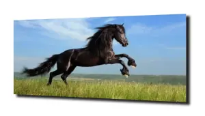 obraz na szkle Koń niebo 