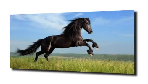 eb6ee4d2c5702086ea580374e90893d0