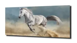 obraz na szkle Galop koń 