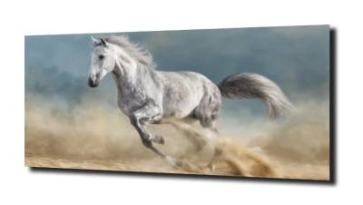 obraz na szkle Galop koń 