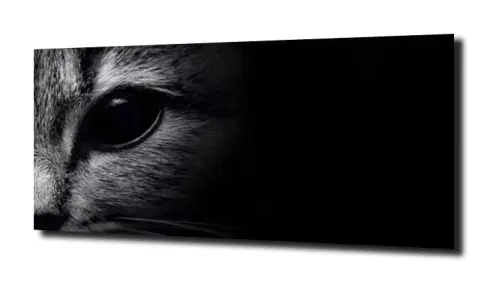 0a8b39d52694fa61d0c9de1d3262252c