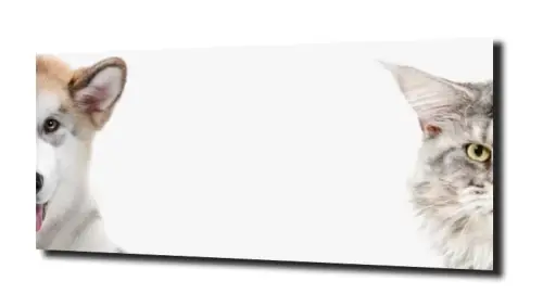 7b165f784cb431d81745e291cc83fd36