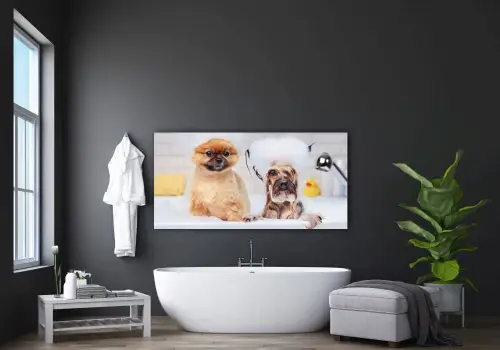 81539d31d3fd33cf101234d7ff5b66c3