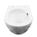 misa wc WC roto.jpg