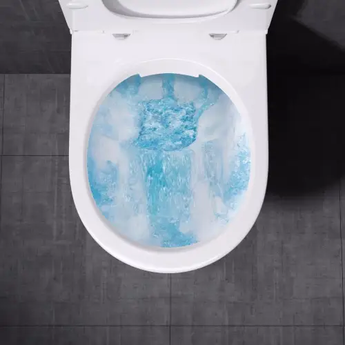 Misa WC Swiss Liniger Pia serii Rimless