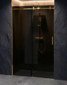 Drzwi Prysznicowe Przesuwne Złoty Połysk Grafit Przyciemniana D20